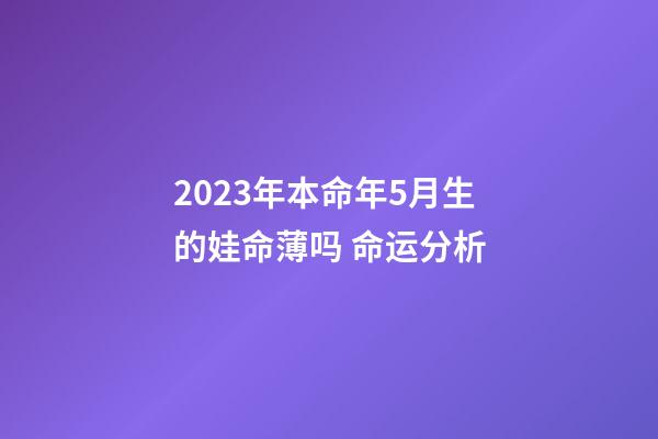 2023年本命年5月生的娃命薄吗 命运分析